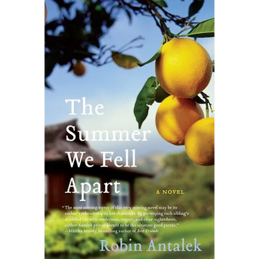 The Summer We Fell Apart