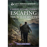 Escaping the Wilderness