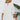 52c5d6c074d6438598e6e3784d711e78-Max