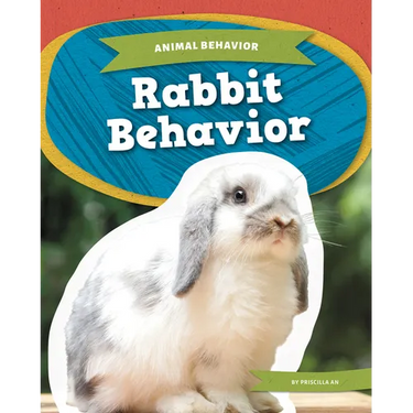 Rabbit Behavior