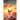 Chronicle of Summer
