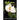 Reflections of a Mississippi Magnolia-A Life in Poems