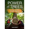 Power of Trees: How to Refill Your Energy in Nature