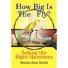 How Big is the Fly?: Asking the Right Questions