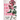 Roses Among the Thorns