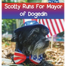 Scotty Runs For Mayor of Dogedin