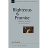 Righteous by Promise: A Biblical Theology of Circumcision Volume 45
