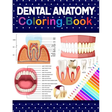 Dental Anatomy Coloring Book: Learn the Basics of Dental Anatomy. Dental Anatomy Coloring Book for Cute Children's, Kids, Boys, Girls, Dental Assistan