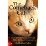 The Comeback Cat: Cleo's incredible journey through feline diabetes to remission