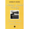 Nature Guided Therapy: Brief Integrative Strategies For Health And Well Being