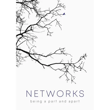 Networks: Being a Part and Apart