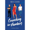 Crunching Her Numbers: A Steamy Romance