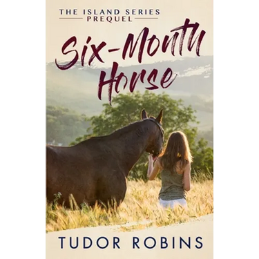 Six-Month Horse: A page-turning story of learning and laughing with friends, family, and horses