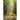 The Last Journey: A Road Map for Ending-of-Days