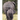 Backsides: Zoo Animals