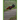 Why The Chicken Crossed The Road