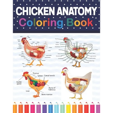 Chicken Anatomy Coloring Book: Chicken Anatomy and Veterinary Physiology Coloring Book. The New Surprising Magnificent Learning Structure For Veterin
