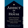 Addict in the House: A No-Nonsense Family Guide Through Addiction and Recovery