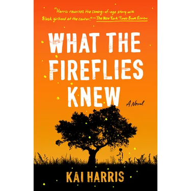 What the Fireflies Knew