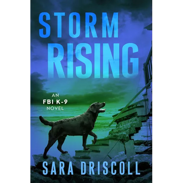 Storm Rising