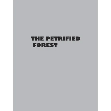The Petrified Forest