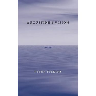 Augustine's Vision