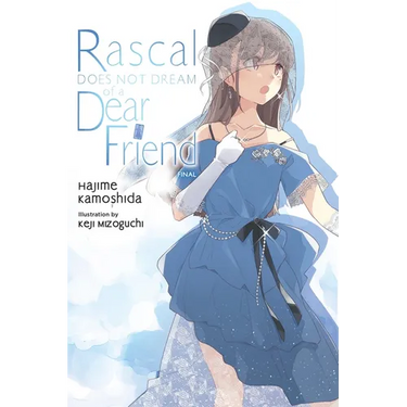 Rascal Does Not Dream of a Dear Friend (Light Novel)