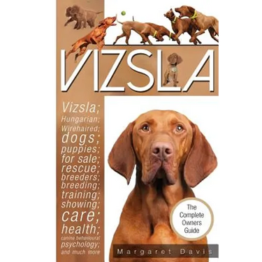 Vizsla