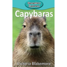 Capybaras