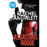 Assassins Rogue