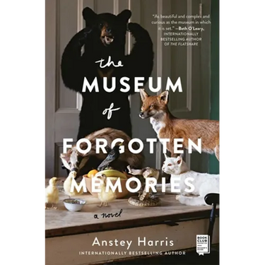 The Museum of Forgotten Memories