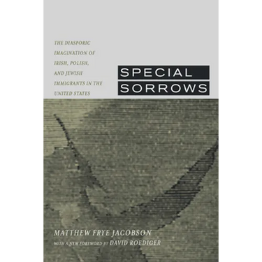 Special Sorrows: The Diasporic Imagination of Irish, Polish, and Jewish Immigrants in the United States
