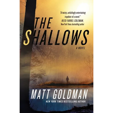 The Shallows: A Nils Shapiro Novel