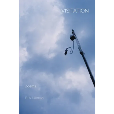 Visitation: poems