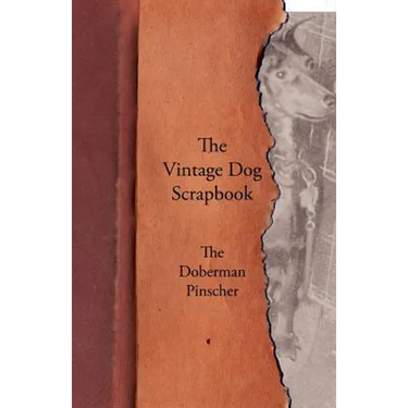 The Vintage Dog Scrapbook - The Doberman Pinscher
