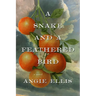 A Snake and a Feathered Bird