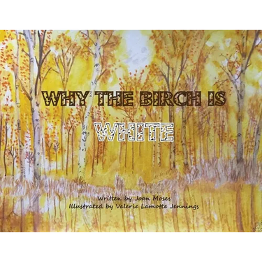 Why The Birch Is White