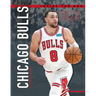 Chicago Bulls