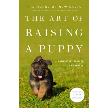 The Art of Raising a Puppy