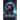 The Orionids