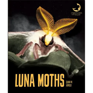 Luna Moths