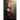 The Dreamsinger