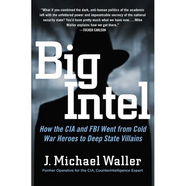 Big Intel: How the CIA and FBI Went from Cold War Heroes to Deep State Villains