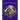 Model Horse Tack Record Book
