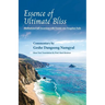 Essence of Ultimate Bliss: Meditational Self-Awareness with Twenty-one Dzogchen nails