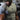 5c060cab-10b0-4ad6-b001-a6259d19236a-Max