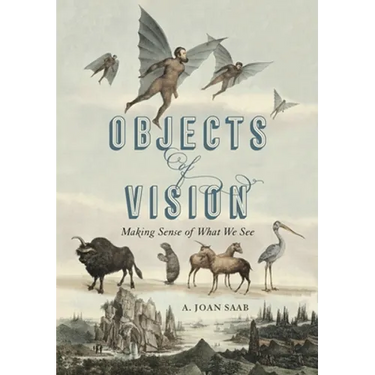 Objects of Vision: Making Sense of What We See