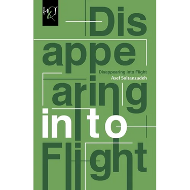 Disappearing Into Flight