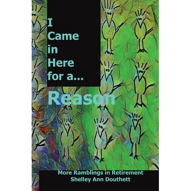 I Came in Here for a Reason: More Ramblings in Retirement