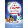 Christmas Paranormal Cozy Mysteries (volume 1)